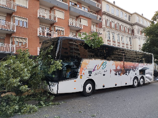 Pullman di studenti finisce contro un albero in centro a Torino, 5 feriti